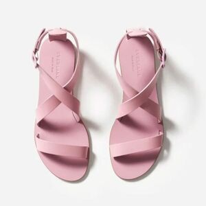 Everlane Modern Wrap Sandal Dusty Rose Adjustable Straps Flats Size 9 New